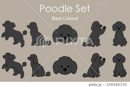 シンプルで可愛い黒いプードルのイラストセット 109398150