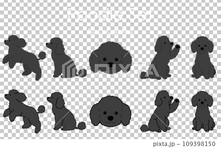 Simple and cute black poodle illustration set 109398150