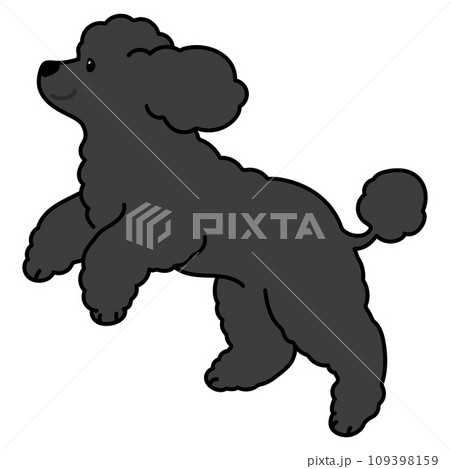 走るシンプルで可愛い黒いプードルのイラスト　主線あり 109398159