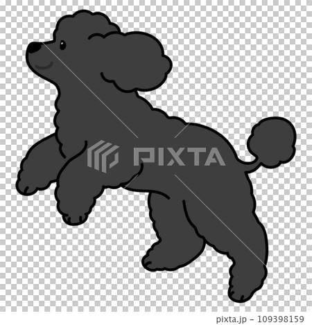走るシンプルで可愛い黒いプードルのイラスト　主線あり 109398159