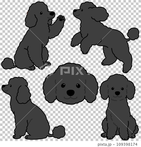 Simple and cute black poodle illustration set with main lines 109398174