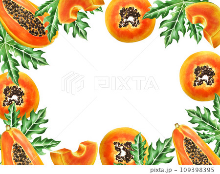 Marker frame and templates with sweet ripe slice of papaya with grains in watercolor style. Hand drawn realistic tasty organic illustration of exotic tropical fruit isolated on background. For Marker frame and templates with sweet ripe slice of papaya with grains in watercolor style. Hand drawn realistic tasty organic illustration of exotic tropical fruit isolated on background. For 109398395