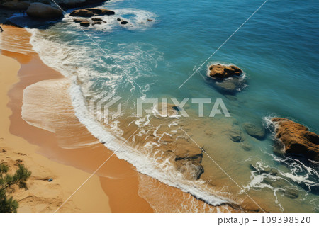 Coast rocks beach and waves, summer landscape, aerial view 109398520