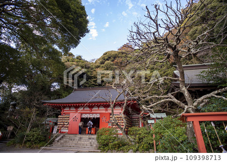 鎌倉11月 荏柄天神社3 鎌倉11月 荏柄天神社3 109398713