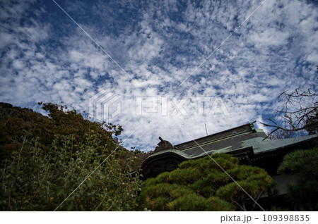 鎌倉11月　妙法寺8 109398835