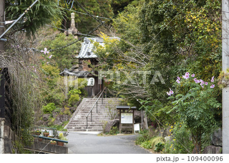 鎌倉11月 覚園寺14 鎌倉11月 覚園寺14 109400096