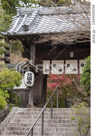 鎌倉11月 覚園寺16 鎌倉11月 覚園寺16 109400098