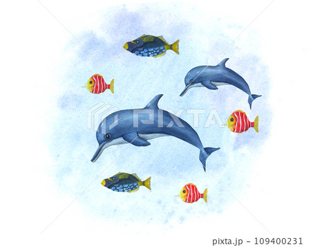 Cartoon swimming dolphins among small multicolor fishes. Porpoise, triggerfish. Sea composition on watercolor background. Hand drawn illustration for wallpaper, print, baby textile, postcard 109400231