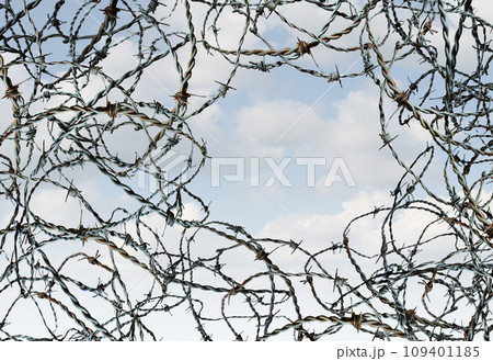 Pathway To Freedom 109401185