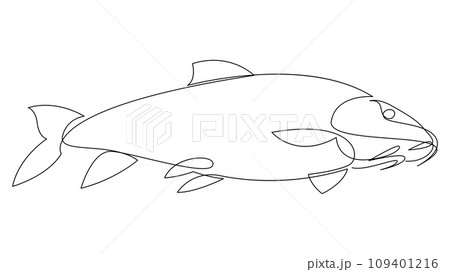 Carp fish continuous one line drawing. Crucian carp or tinca tinca drawn by single line. Vector illustration. Carp fish continuous one line drawing. Crucian carp or tinca tinca drawn by single line. Vector illustration. 109401216