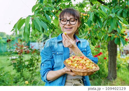 Smiling woman with basket of fresh yellow cherries near cherry tree in summer garden 109402129