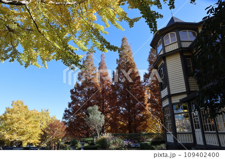 紅葉の「外交官の家」 109402400