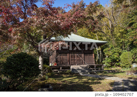 鎌倉11月 浄光寺6 鎌倉11月 浄光寺6 109402707