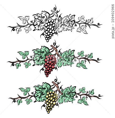 Grapevine 2 stock vector. Illustration of clipart, grape - 64044791