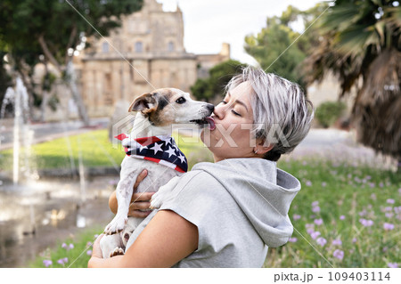 Woman with short grey hair holding and kissed on lips by small senior dog in park outdoor. Dog is wearing bandana with an American flag. Joy and companionship between woman and dog jack russell 109403114
