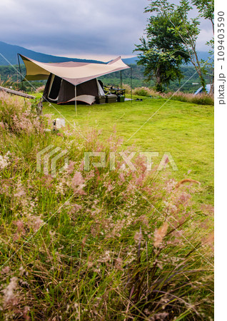 Tents Camping area  Natural area with  green grass 109403590
