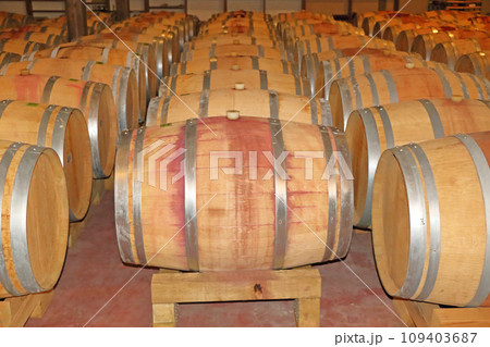 オーク樽の並ぶワインセラー 109403687