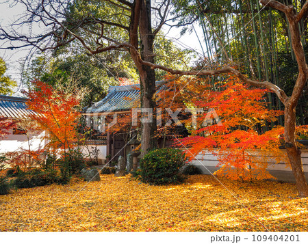 兵庫県 三木市 紅葉の慈眼寺 109404201