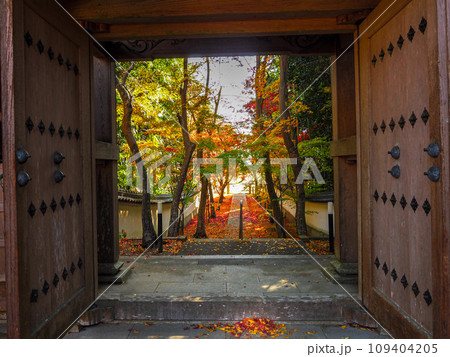 兵庫県 三木市 紅葉の慈眼寺 兵庫県 三木市 紅葉の慈眼寺 109404205