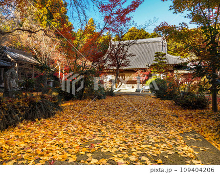 兵庫県 三木市 紅葉の慈眼寺 109404206