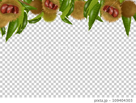 Chestnut branch frame illustration Chestnut branch frame illustration 109404303