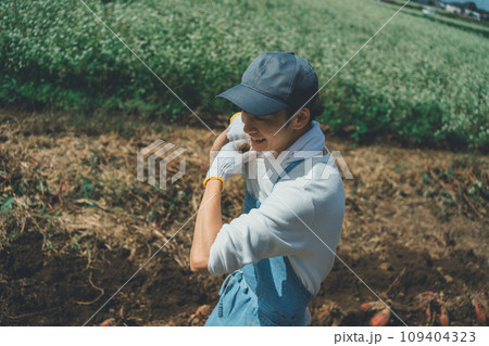 vegetable field 109404323