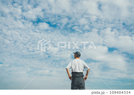 vegetable field 109404334