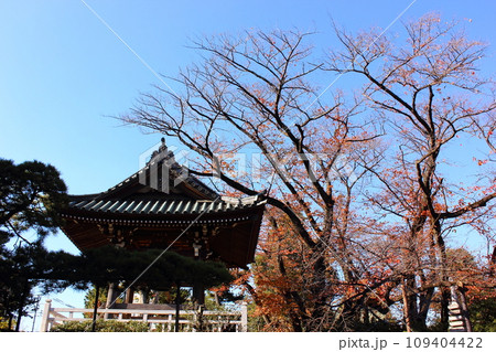 晩秋の青空をバックにした福蔵院の鐘楼堂と桜の木 晩秋の青空をバックにした福蔵院の鐘楼堂と桜の木 109404422