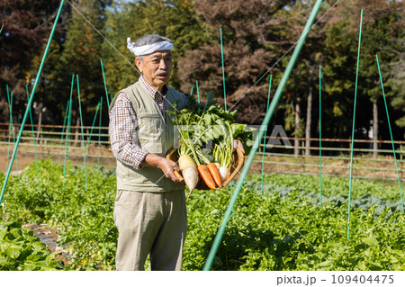 畑の野菜を育てる農家の男性 109404475