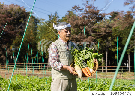畑の野菜を育てる農家の男性 109404476