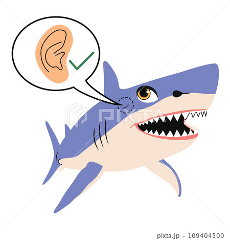 Infographic Design Of Shark Ear Symbol Vector Illustration Infographic Design Of Shark Ear Symbol Vector Illustration 109404500