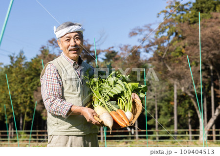 畑の野菜を育てる農家の男性 畑の野菜を育てる農家の男性 109404513