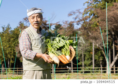 畑の野菜を育てる農家の男性 畑の野菜を育てる農家の男性 109404515