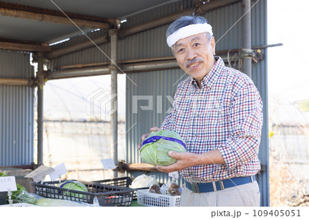 畑の野菜を販売する農家の男性 畑の野菜を販売する農家の男性 109405051