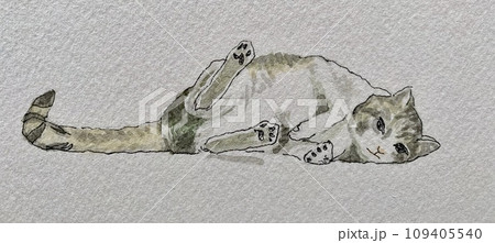 寝転がってくつろぐ猫 寝転がってくつろぐ猫 109405540