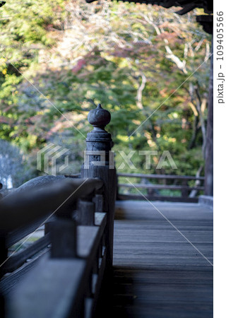 鎌倉12月 妙本寺6 鎌倉12月 妙本寺6 109405566