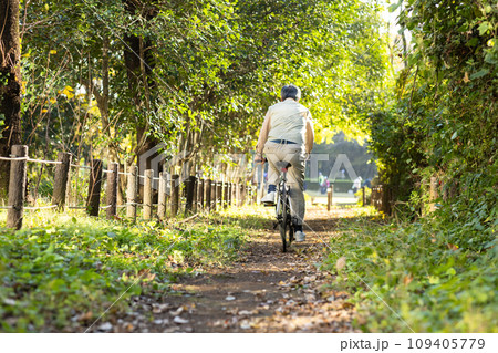 公園を散歩するシニア男性 109405779