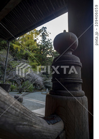 鎌倉12月　妙本寺11 109406059