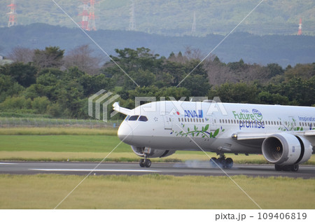 着陸した飛行機 着陸した飛行機 109406819