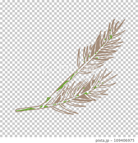 具有柔和線條畫感的松葉插圖 109406975