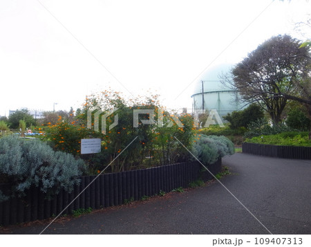 芦花公園 109407313