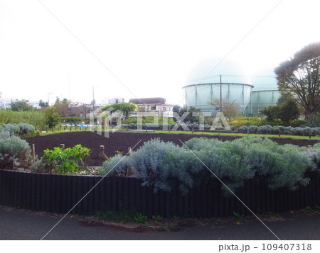 芦花公園 109407318