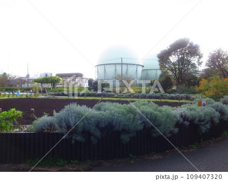 芦花公園 109407320