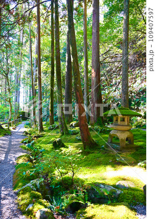 苔の里 苔庭 小松市 苔の里 苔庭 小松市 109407597