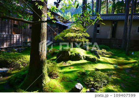 苔の里 苔庭 古民家 小松市 苔の里 苔庭 古民家 小松市 109407599