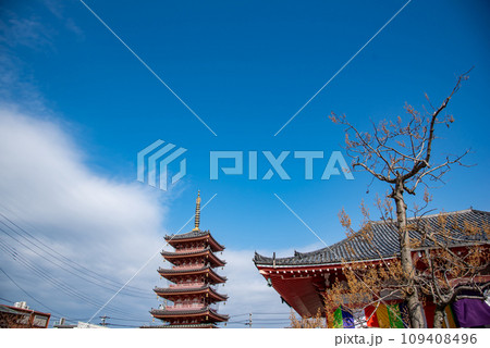 三重県津市　鬼押さえ節分の日の津観音の本堂と五重塔 109408496