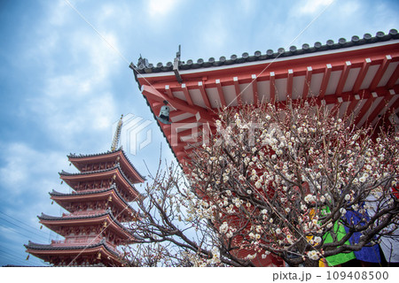 三重県津市 鬼押さえ節分の日の津観音の本堂と五重塔 三重県津市 鬼押さえ節分の日の津観音の本堂と五重塔 109408500