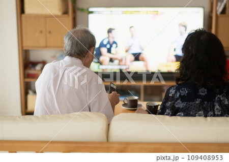テレビを見るシニア夫婦の後姿・老後の暮らし 109408953
