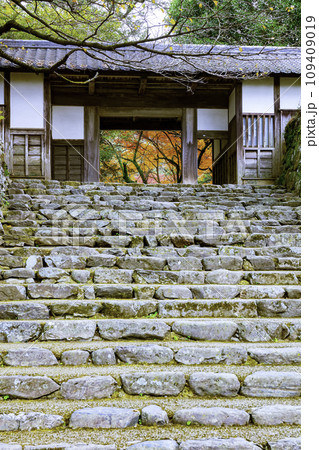 紅葉が美しい秋月城跡　長屋門 109409019