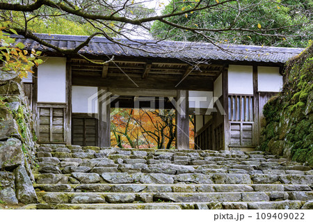 紅葉が美しい秋月城跡 長屋門 紅葉が美しい秋月城跡 長屋門 109409022